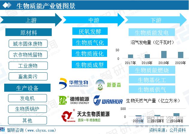 2021年中国生物资能行业开展示状及趋向阐发(图3)
